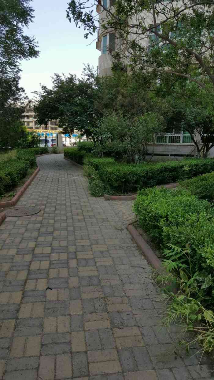 嘉铭园-"大舅和他的茶叶帝国!因为喝茶所以认识了."-大众点评移动版