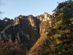 -王顺山国家森林公园