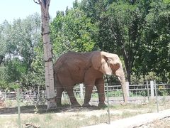 -石家庄市动物园