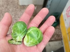 -岳各庄批发市场(西四环中路店)