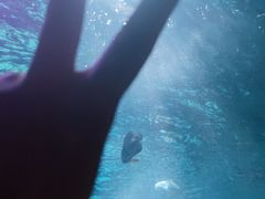 -大连圣亚海洋世界