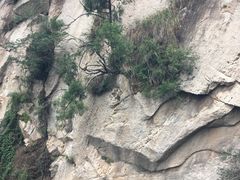 -少华山国家森林公园