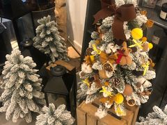 -植物学家的女儿(北马道巷店)