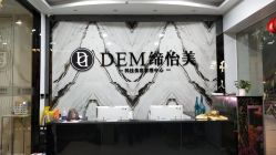 -DEM缔怡美科技美容