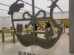 -Apple零售店(天环广场店)