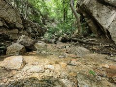 -大岭沟猕猴桃谷风景区
