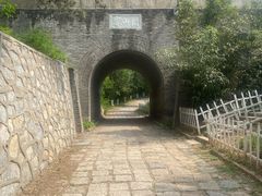 -云岗森林公园
