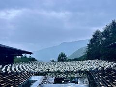 -腾冲云峰山