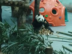 -青藏高原野生动物园