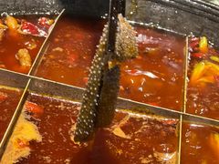 -五里关火锅(牛市口店)