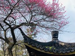 -杭州植物园