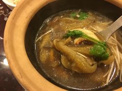 鱼翅-大中鱼翅 Taitong Shark Fin
