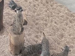 -海合安武汉极地海洋公园