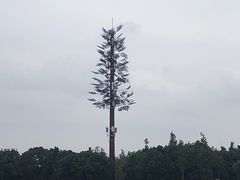 -龙虾风暴(松江店)