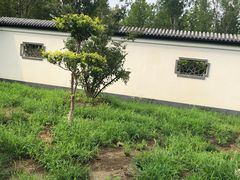 -水西公园