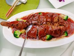 -丁老爷子苏香圆