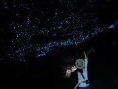 -怀托摩萤火虫洞