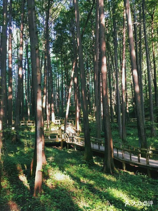 波爾登森林公園圖片 - 第54張