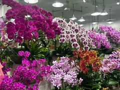 -双季花艺园艺市场(浦东店)