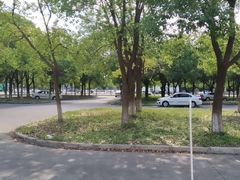 -安飞驰驾校·学车连锁(金高店)