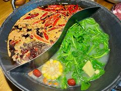 -阳阳老火锅(小南门店)