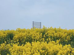 -三圣花乡旅游区
