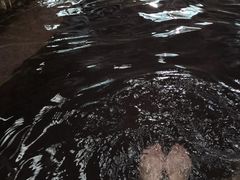 -南宫温泉水世界