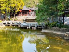 -深圳国际园林花卉博览园