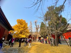 -承恩寺