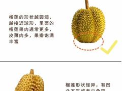 -麦德龙(湖里店)