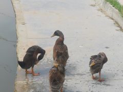 -太阳宫公园