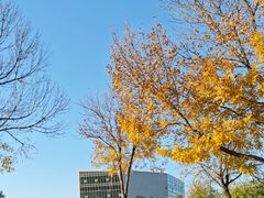 -济南国际园博园