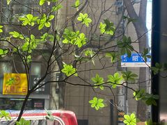 -VESH COFFEE(定西路店)