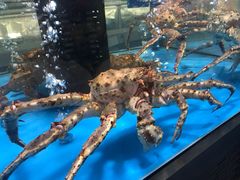 -麦德龙(郑东店)