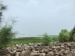 -吴淞炮台湾湿地森林公园烧烤区