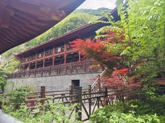 -长谷洞天