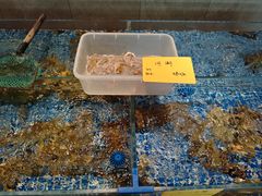 -上味·小海小鲜(中联店)