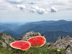 -秦岭风景区