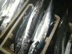 -青岛沙子口国家中心渔港