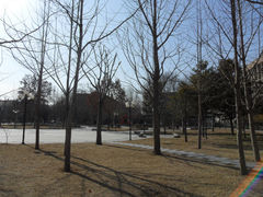 -山东农业大学(岱宗校区)