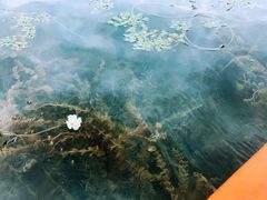 -丽江泸沽湖景区-里格半岛