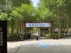 -敦煌莫高窟数字展示中心
