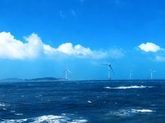 -坛南湾阿强农家乐.海鲜大排档老字号(福州地标美食店)