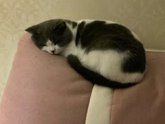 -BomBa意大利餐厅