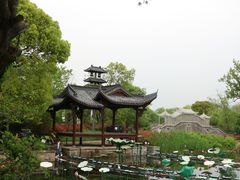 -西溪国家湿地公园