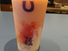 -春丽小马(济南恒隆广场店)