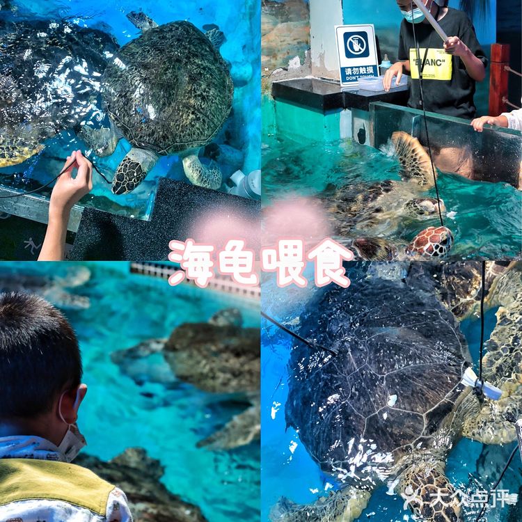 溜娃好去处｜🐠正佳极地海洋世界好玩又好睇