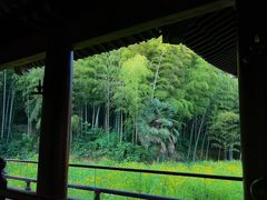 -兰亭风景区