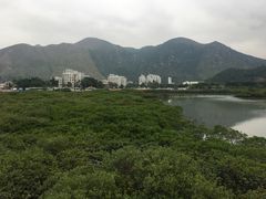-大澳