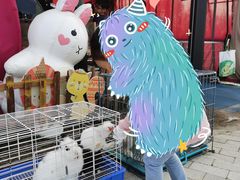 -季高兔窝窝亲子园(上海薰衣草公园店)